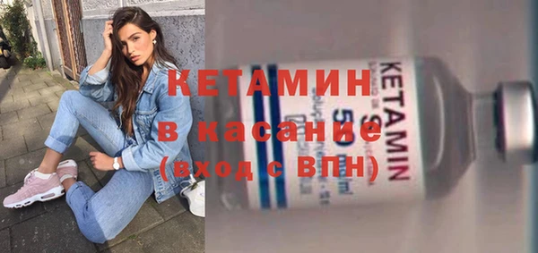 шишки Абаза
