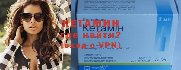 шишки Абаза