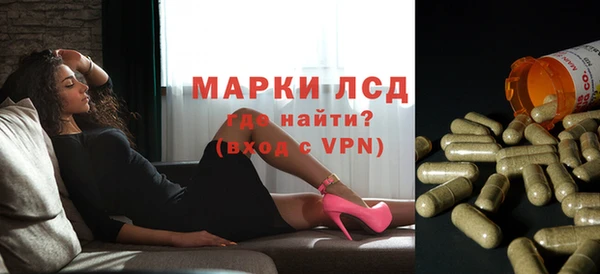 шишки Абаза