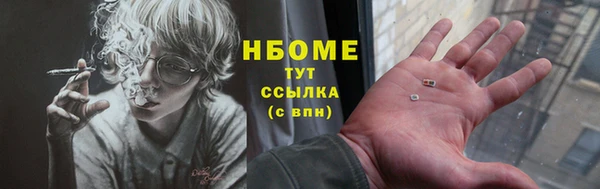 шишки Абаза
