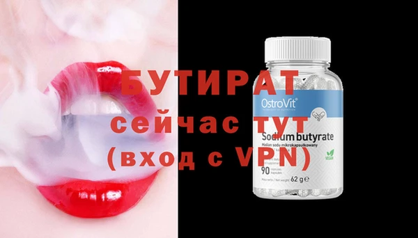 шишки Абаза