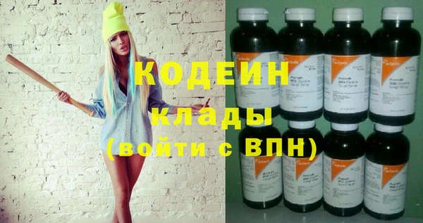 шишки Абаза