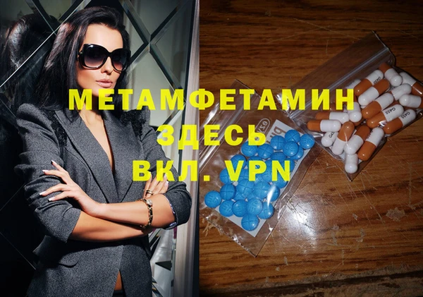 шишки Абаза