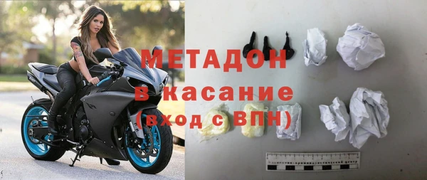 шишки Абаза